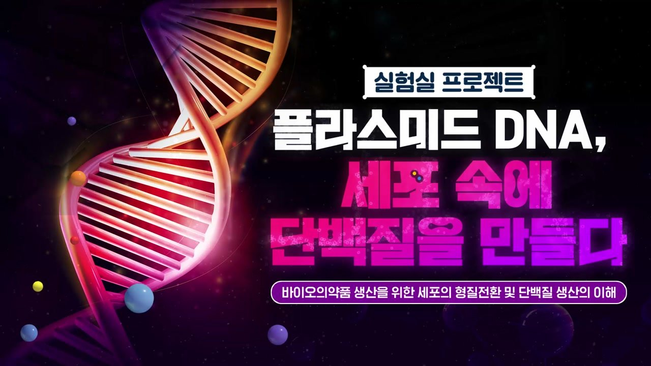 [실험실 프로젝트] 플라스미드 DNA, 세포 속에 단백질을 만들다